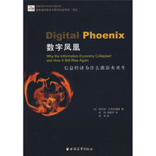 数字凤凰：信息经济为什么能浴火重生