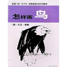 怎样画鸟