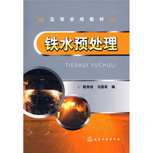 高等学校教材：铁水预处理
