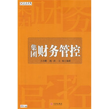 集团财务管控