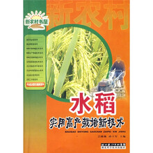 水稻实用高产栽培新技术