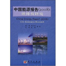 2008中国能源报告：碳排放研究