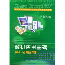 微机应用基础实习指导