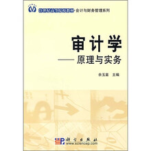 21世纪高等院校教材·会计与财务管理系列·审计学：原理与实物
