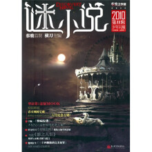谜小说：少年闪耀（2010第2辑）