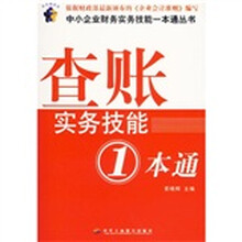 查账实务技能1本通