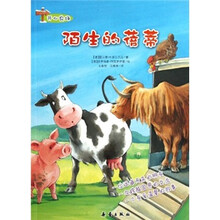 开心农场：陌生的蓓蒂