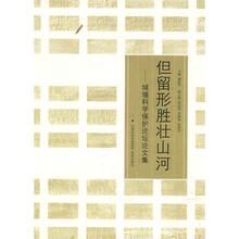 但留形胜壮山河:城墙科学保护论坛论文集