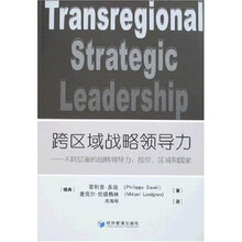 跨区域战略领导力:不同层面的战略领导力(组织、区域和国家)