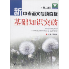 新中考语文专项夺标：基础知识突破（第2版）