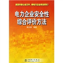 电力企业安全性综合评价方法