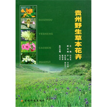 贵州野生草本花卉（精）