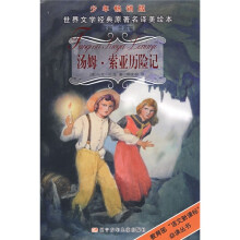 汤姆·索亚历险记(少年畅销版)