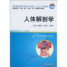 人体解剖学