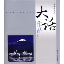 大数码系列：大话作品