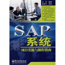 SAP系统项目实施与操作指南