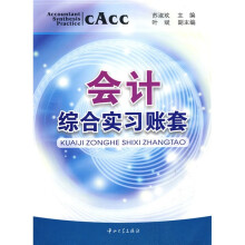 会计综合实习帐套