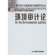 环境审计论