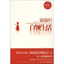 猫猫的白领生活