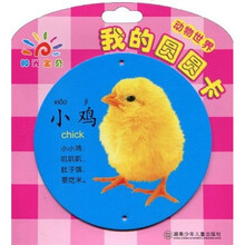 阳光宝贝 我的圆圆卡：动物世界