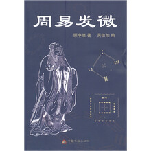 周易发微