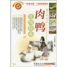 肉鸭养殖技术