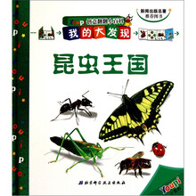 我的大发现Youpi创意翻翻小百科：昆虫王国