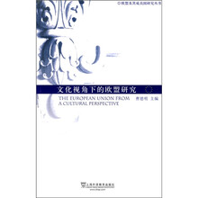 文化视角下的欧盟研究