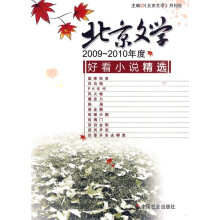 2009-2010年度北京文学好看小说精选