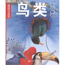 透视与发现：鸟类