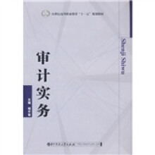 21世纪高等职业教育“十一五”规划教材：审计实务