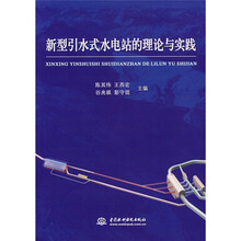 新型引水式水电站的理论与实践