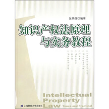 知识产权法原理与实务教程