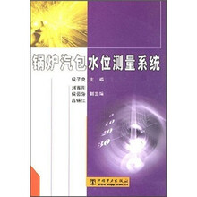 锅炉汽包水位测量系统