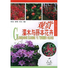 观赏灌木与藤本花卉