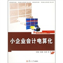 小企业会计电算化