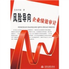 风险导向企业绩效审计