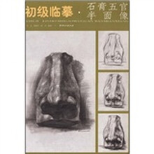 初级临摹：石膏五官半面像