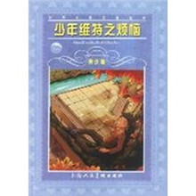 少年维特之烦恼