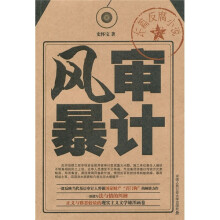 审计风暴