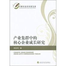 产业集群中的核心企业成长研究