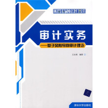 江苏省教育厅立顶建设精品教材·审计实务：基于风险导向审计理念