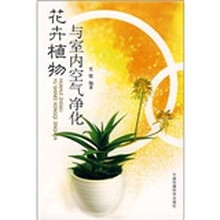 花卉植物与室内空气净化