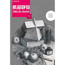 基础绘画详解:素描静物