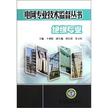 电网专业技术监督丛书：绝缘专业