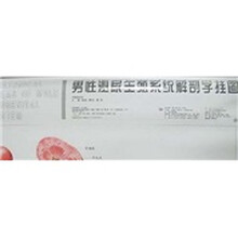 男性泌尿生殖系统解剖学挂图