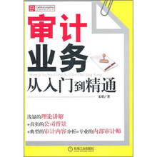 审计业务从入门到精通