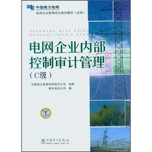 电网企业管理岗位培训教材（试用）：电网企业内部控制审计管理（C级）