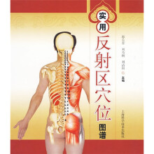 实用反射区穴位图谱