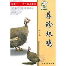 养珍珠鸡